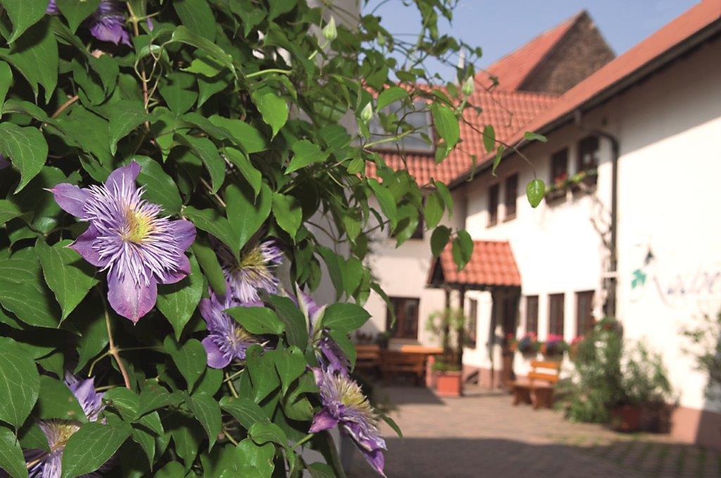 Pension Gaestehaus Kachelofa Vaihingen an der Enz Dış mekan fotoğraf